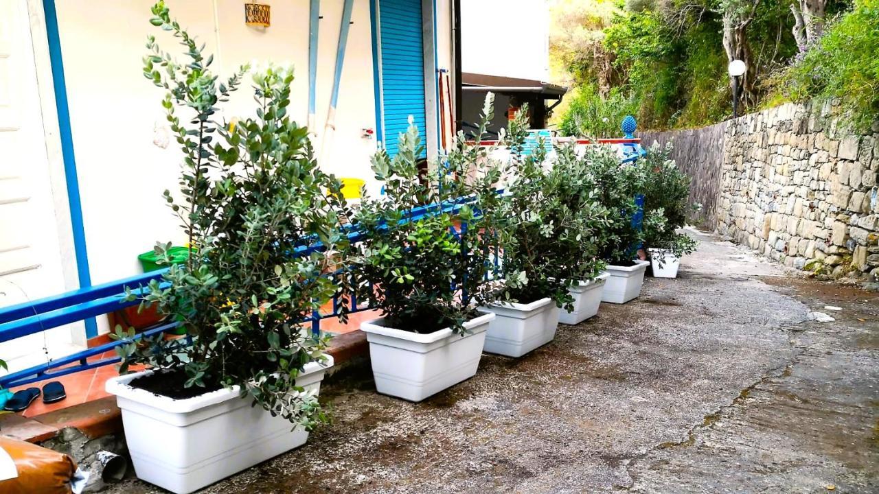 Apartament La Casa Di Aurelio Capo dʼOrlando Zewnętrze zdjęcie